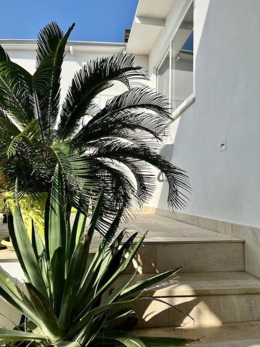 Bed and breakfast Naples In The History 4M Extérieur photo